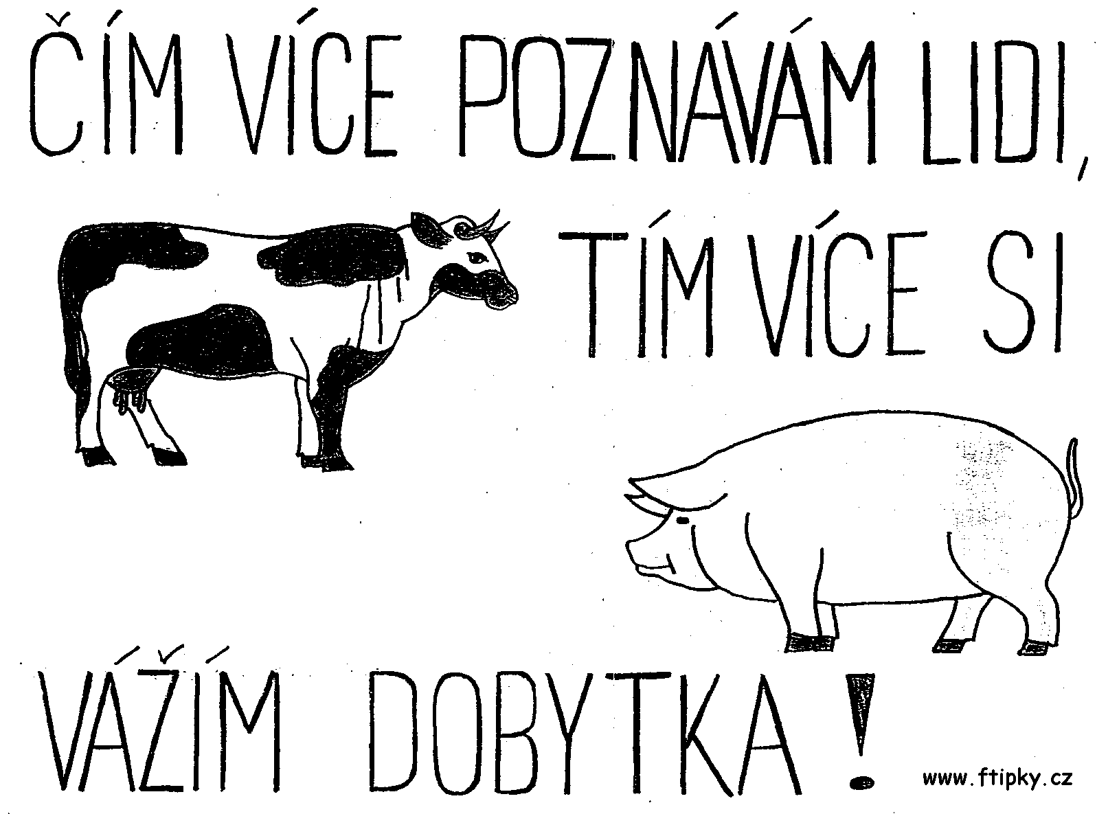 lidi